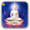 ЭМОЦИОНАЛЬНАЯ ГАРМОНИЯ ДУХА (Buddha Light) Buddha Light